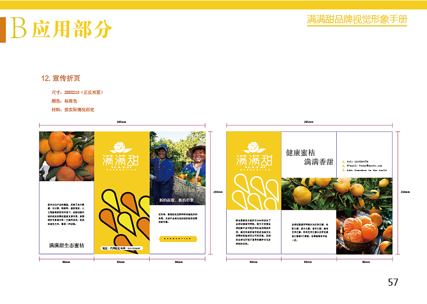 满满甜-品牌视觉形象手册(生态蜜桔)