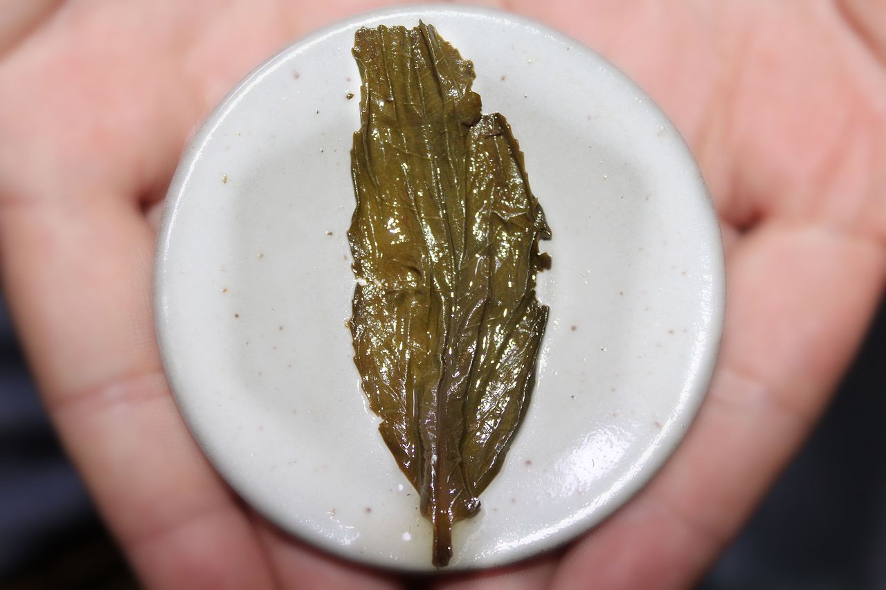 彻骨晶莹  不言茯砖