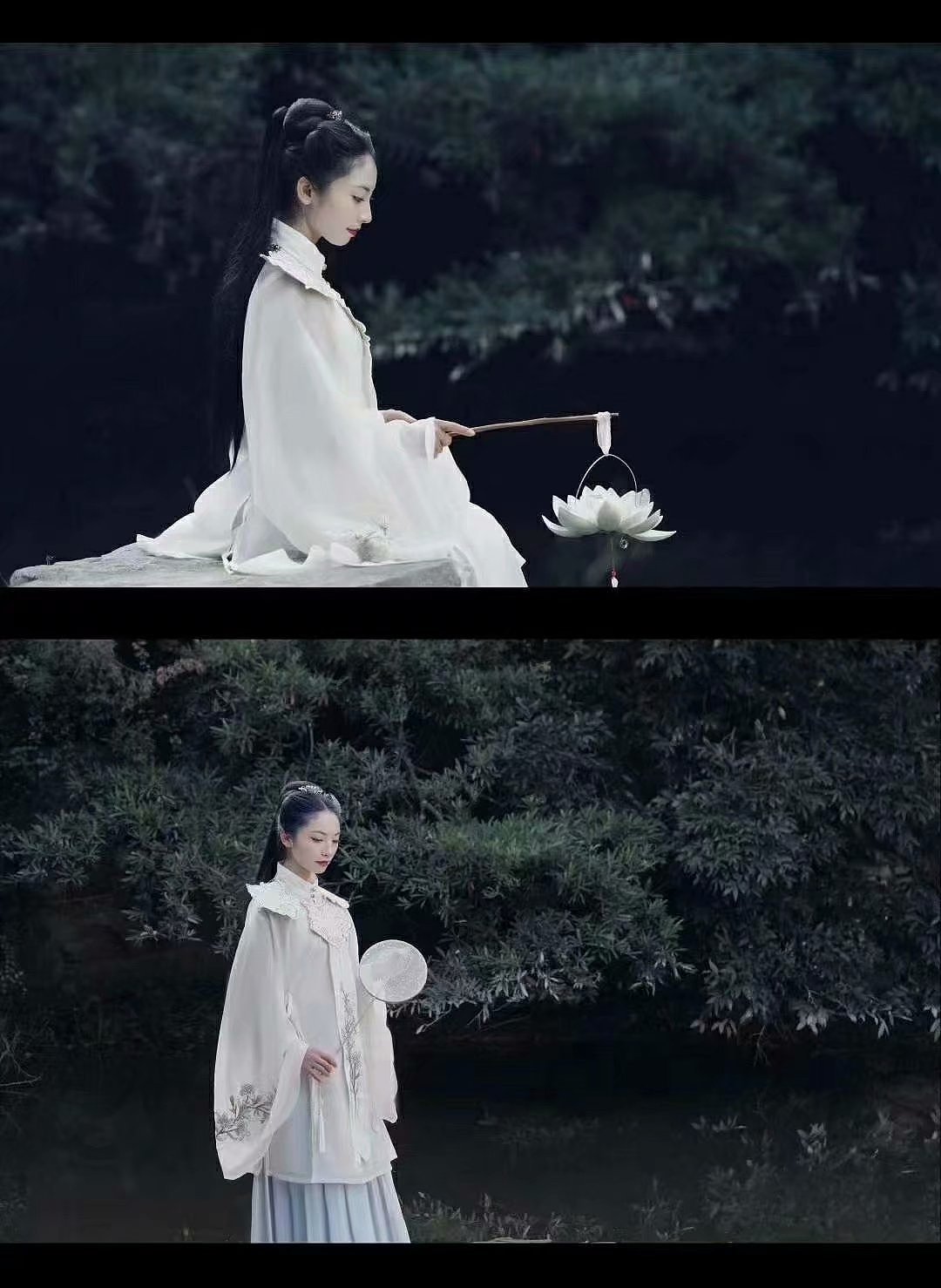 荷花仙女