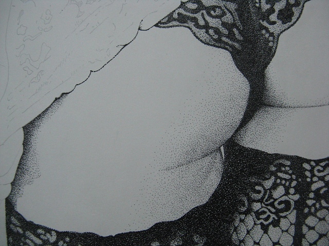 楚歌钢笔画-魅影(点画)55*40cm(图ZMTg5NTY1ODA=) - 绘画 - 站酷设计师楚歌76原创素材 - 站酷ZCOOL