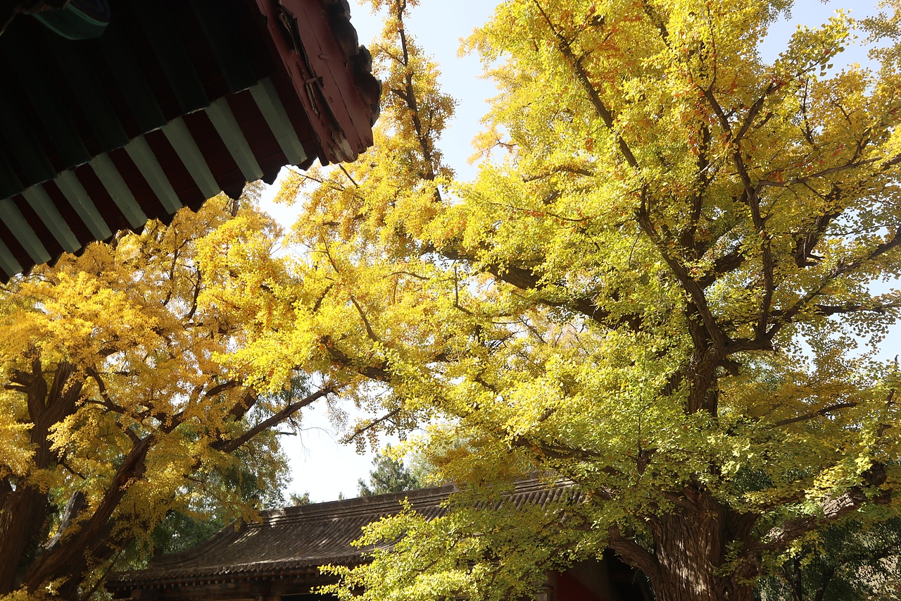 《眼前便是最好》（图ZMzA5MjA0Njky） - 其他摄影 - 站酷设计师简浩原创素材 - 站酷ZCOOL