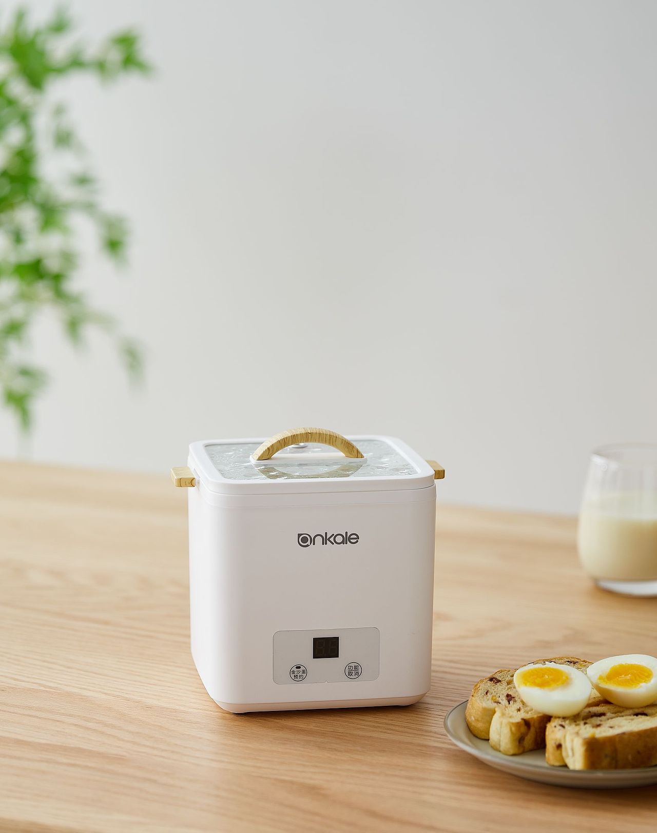 近期拍摄的小家电