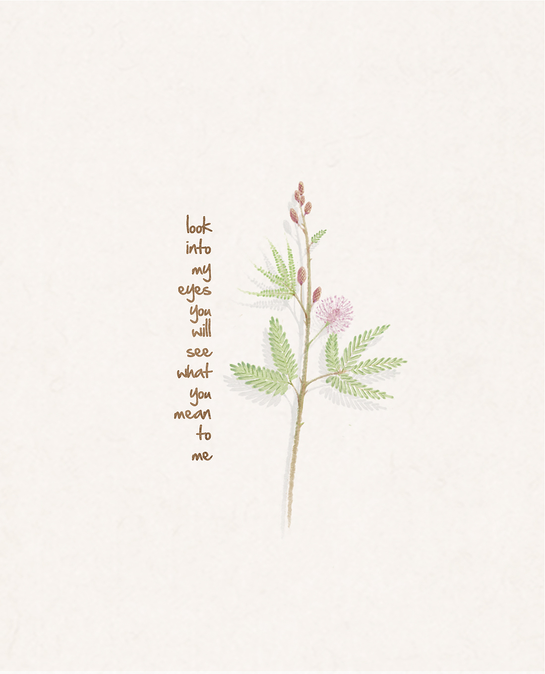 花间短歌 花卉插图