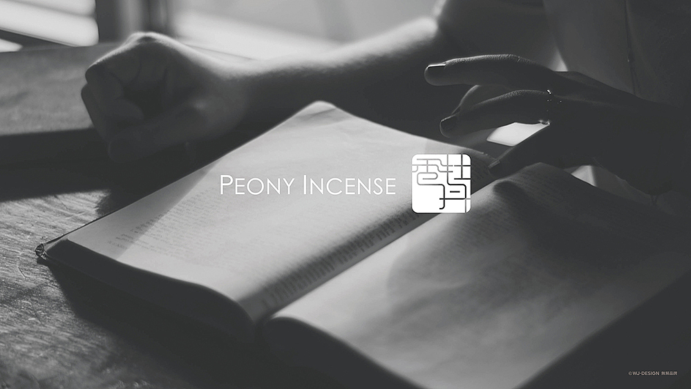 無解品牌|项目标志案例作品