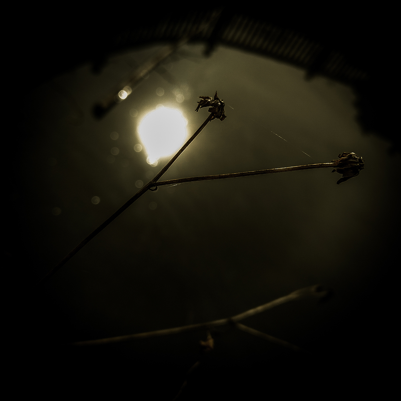 被忽视的自然美（图ZMTI0OTU3NjQ0） - 风光摄影 - 站酷设计师Jauver原创素材 - 站酷ZCOOL