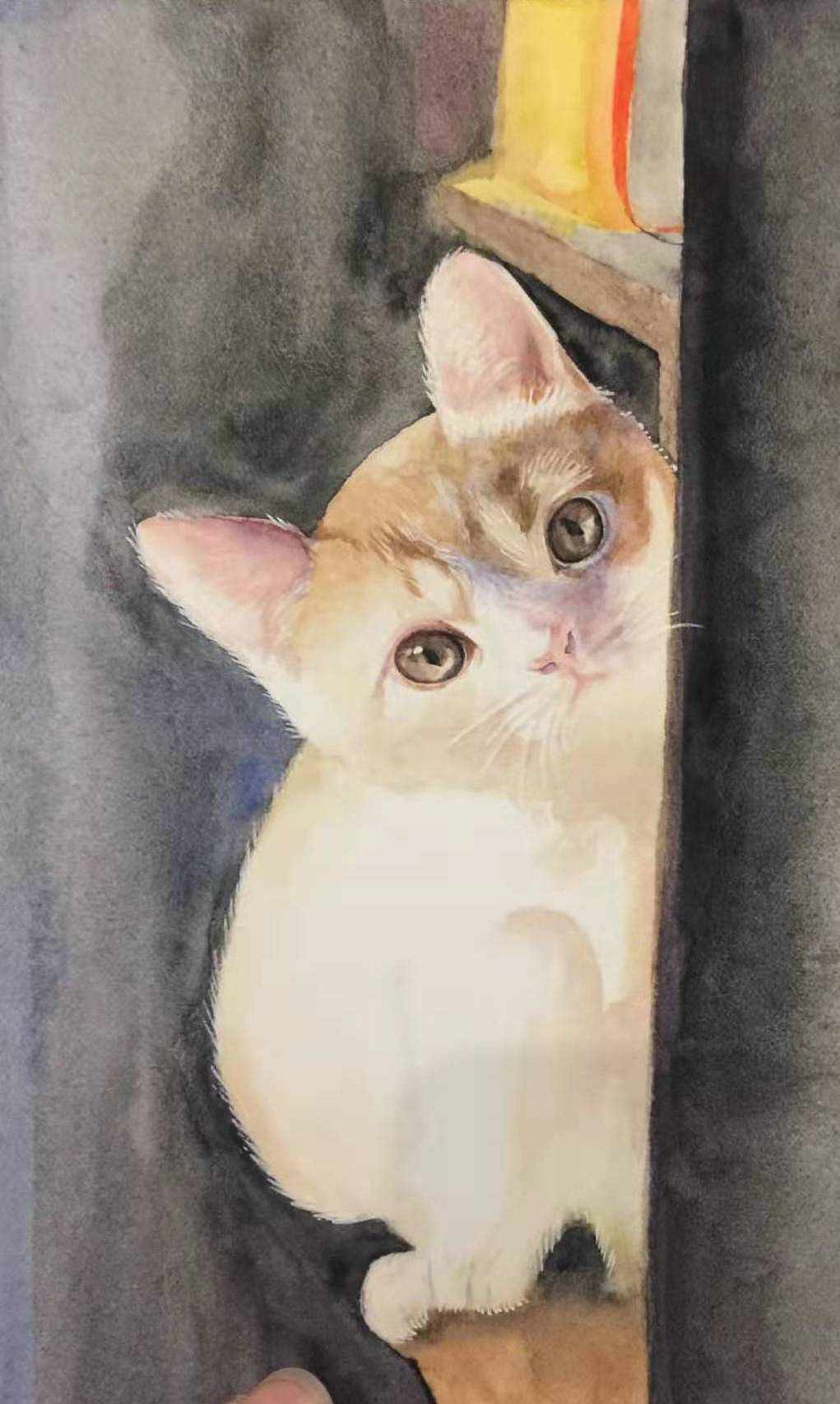 水彩貓貓（圖ZMjYzNDYzNjU2） - 繪畫 - 站酷設(shè)計(jì)師有陽光的窗角原創(chuàng)素材 - 站酷ZCOOL