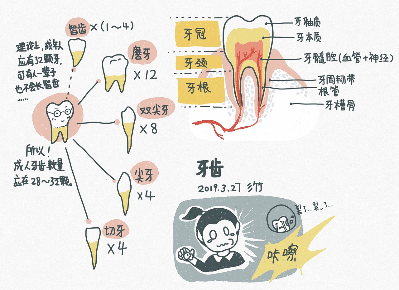2019年上半年习作（选）（图ZMTY2OTEzOTUy） - 创作习作 - 站酷设计师彡竹原创素材 - 站酷ZCOOL