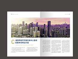 杂志
