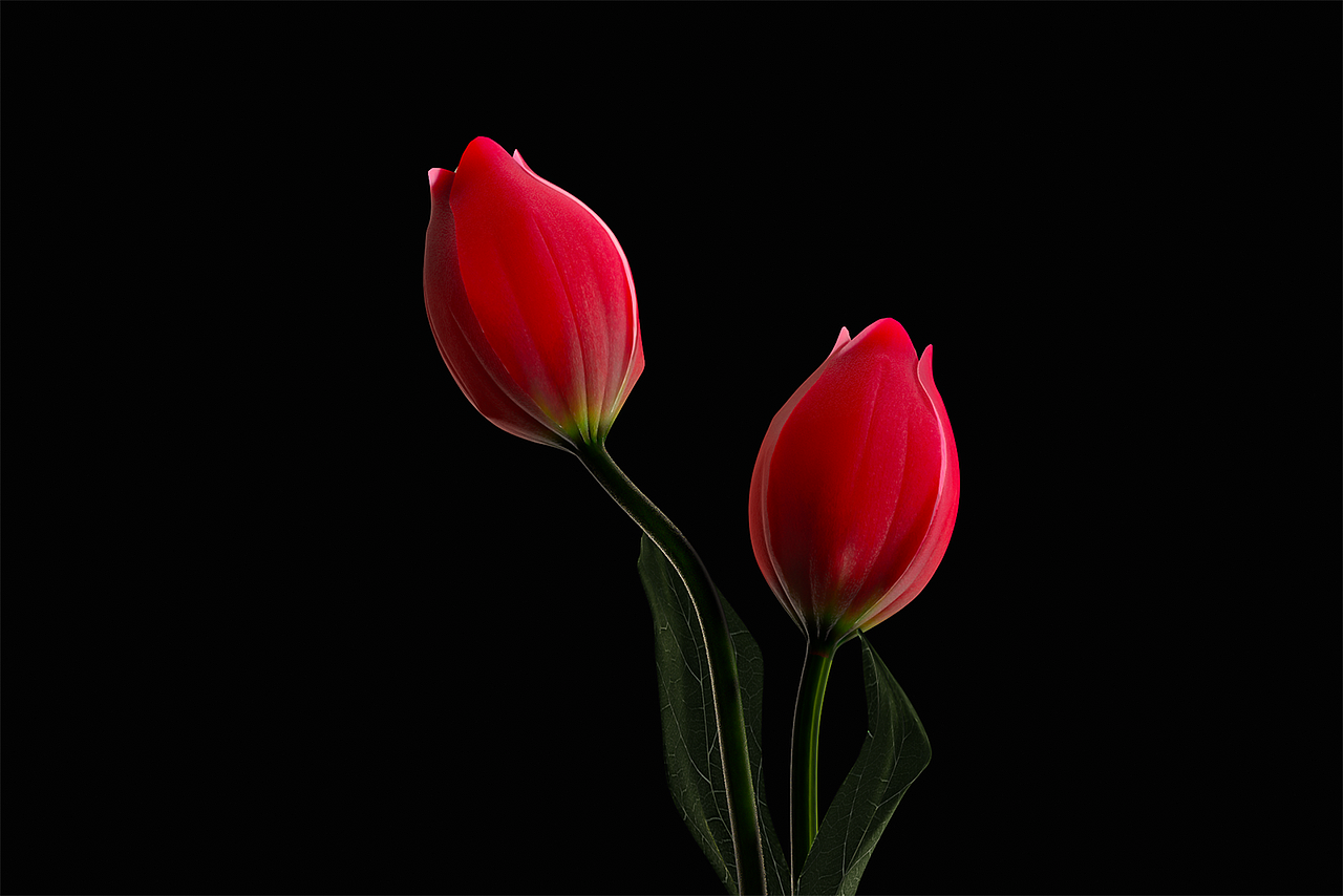 8月-9月63张C4D+OCTANE渲染图合集（图ZMjczMjE1MTgw） - 其他三维 - 站酷设计师火星7号影像原创素材 - 站酷ZCOOL