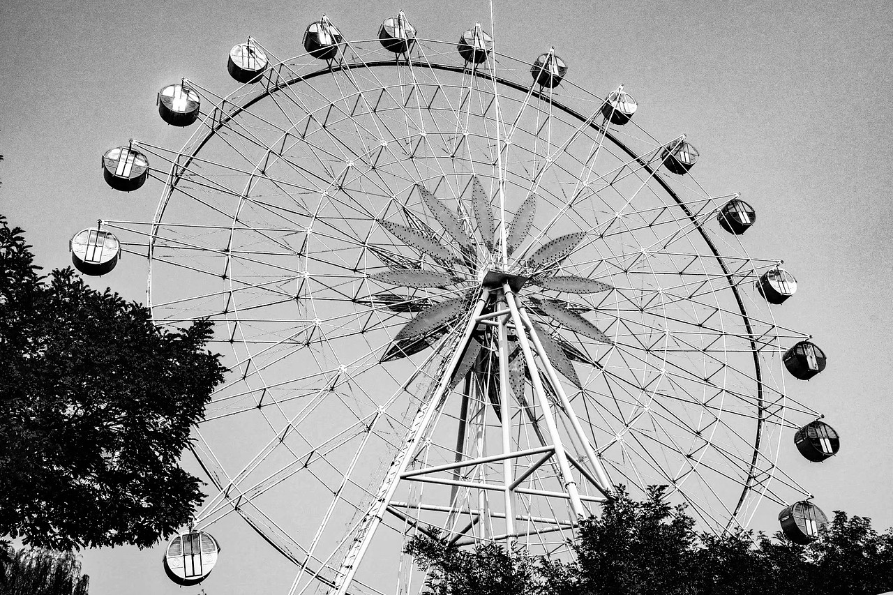 《摄影及后期期末作业综合》