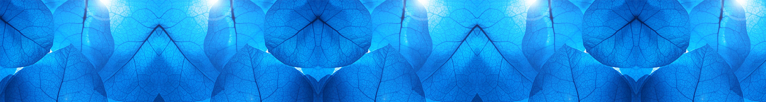 W嘉儿的个人主页（封面预览） - 主页封面设置 - 站酷设计师W嘉儿原创素材 - 站酷ZCOOL