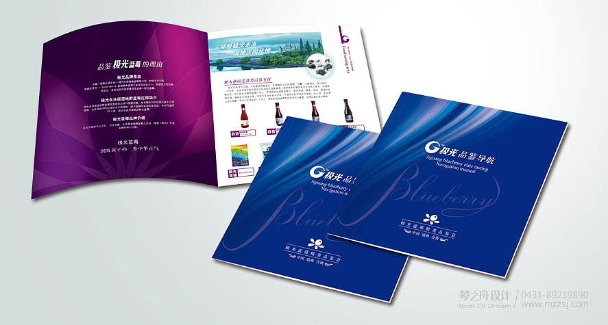 做的一个蓝莓的画册，板式（图ZNDUzNTY0MTY=） - 书籍/画册 - 站酷设计师LiteKong原创素材 - 站酷ZCOOL