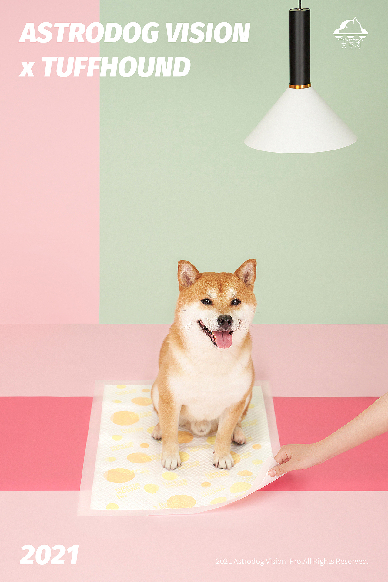 宠物用品拍摄 狗狗尿垫/尿不湿（图ZMjU2NTk0Njg4） - 产品摄影 - 站酷设计师太空狗视觉原创素材 - 站酷ZCOOL