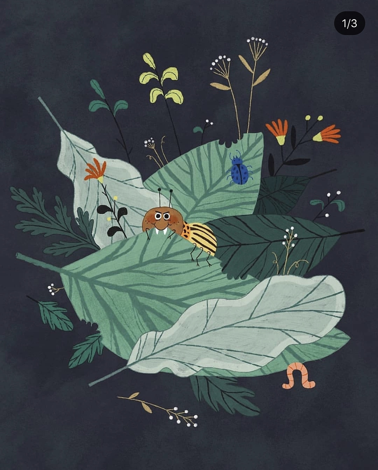 草丛里的小蜜蜂