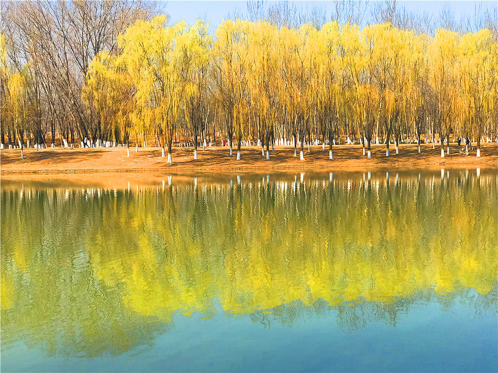 刘勇良手机纪事摄影:风景如画好去处