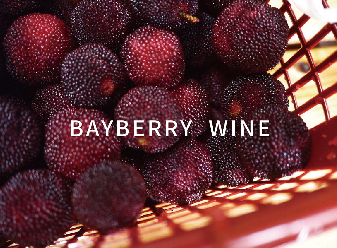 多口味水果酒——系列化包装设计