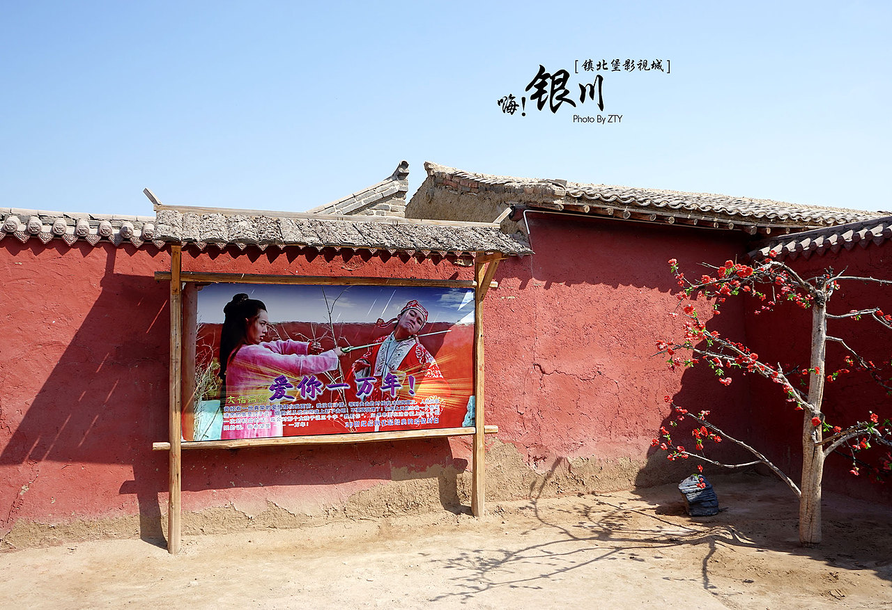 旅行~银川~和好友五年未见。