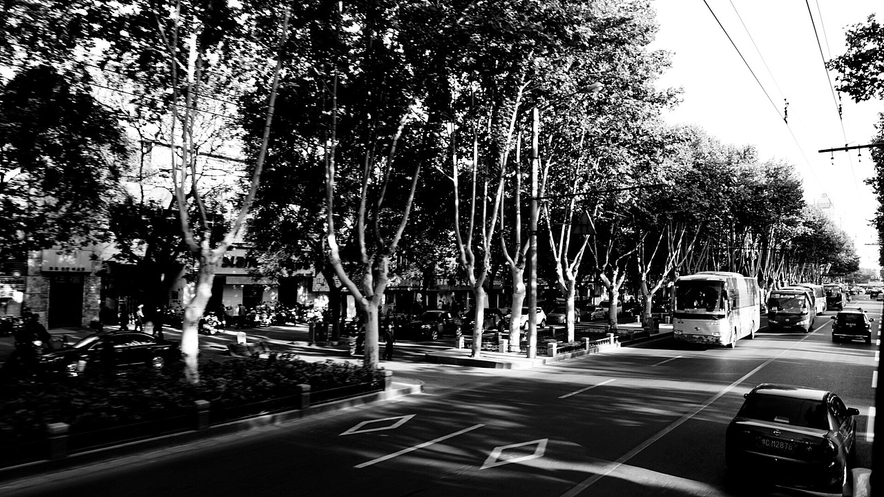 消失的洛阳师范学院安乐校区