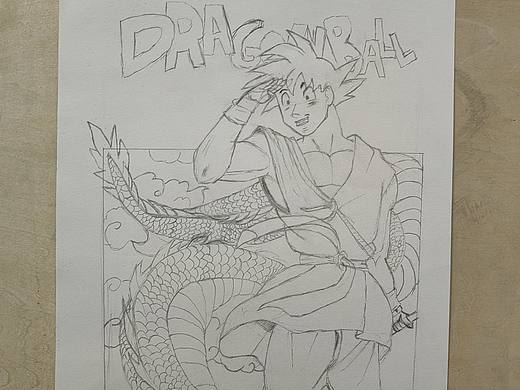 龙珠鸟山明怀念