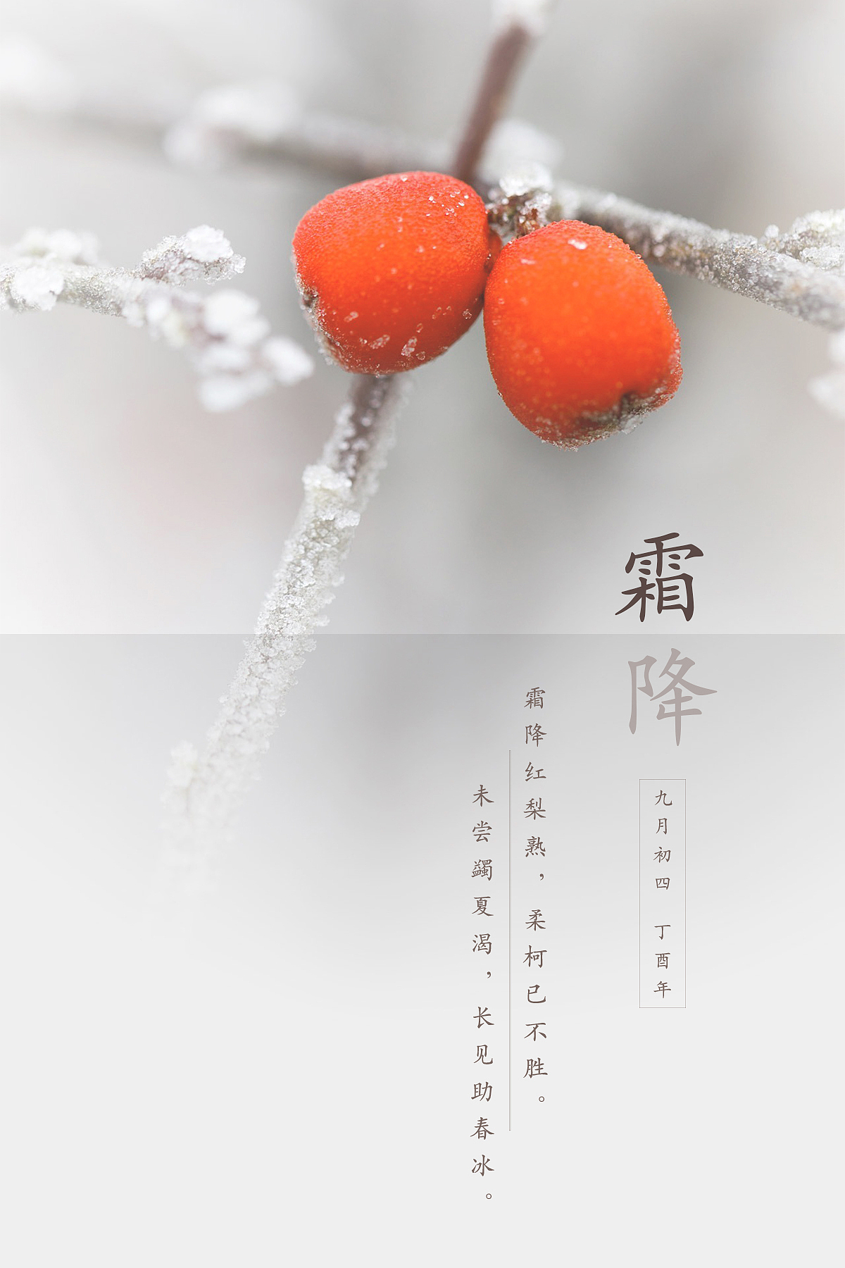 霜降|平面|海报|橘子菠萝橙_原创作品-站酷zcool