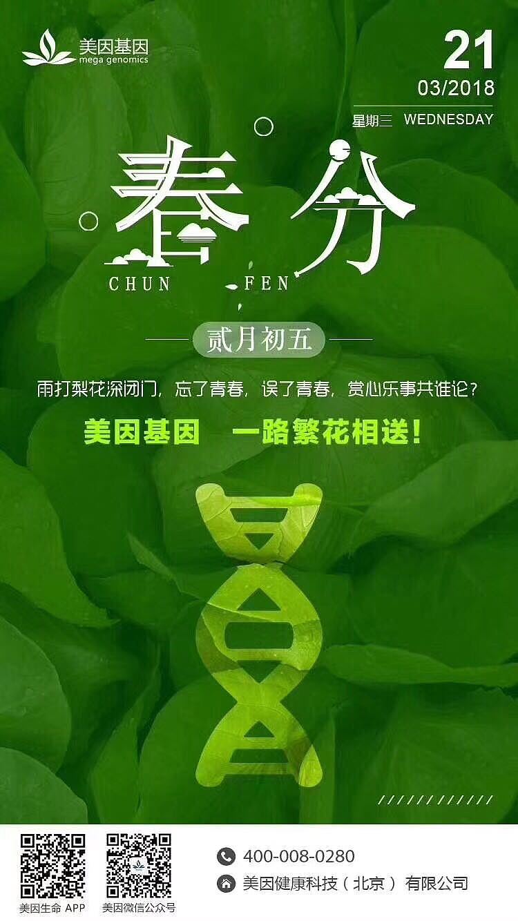 海報展示（图ZMTE5MDMzMDYw） - 海报 - 站酷设计师郑阿晴原创素材 - 站酷ZCOOL