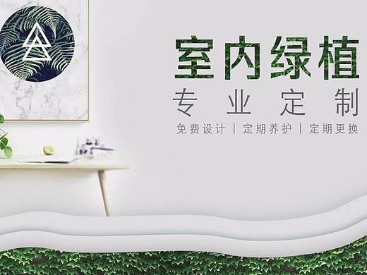 绿植企业网站banner