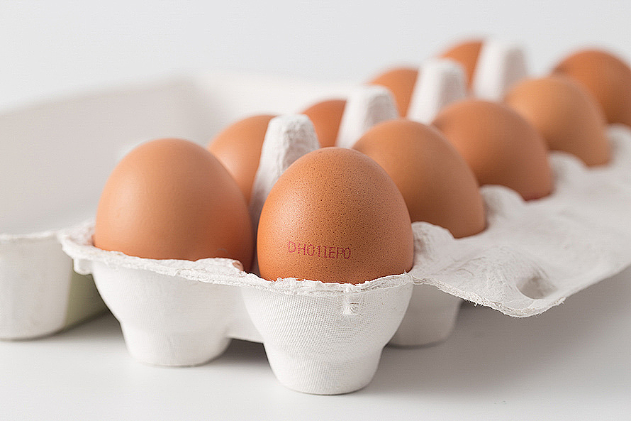 【DUEHOLM/都尔霍姆】有机鸡蛋，白底图静物（图ZMjEyNzA4NDU2） - 其他 - 站酷设计师摄影师葱花原创素材 - 站酷ZCOOL