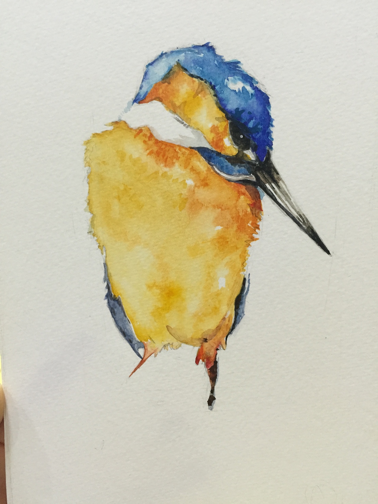 karlmartens的鸟类水彩