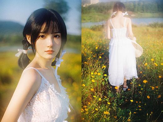 山上的花儿开了