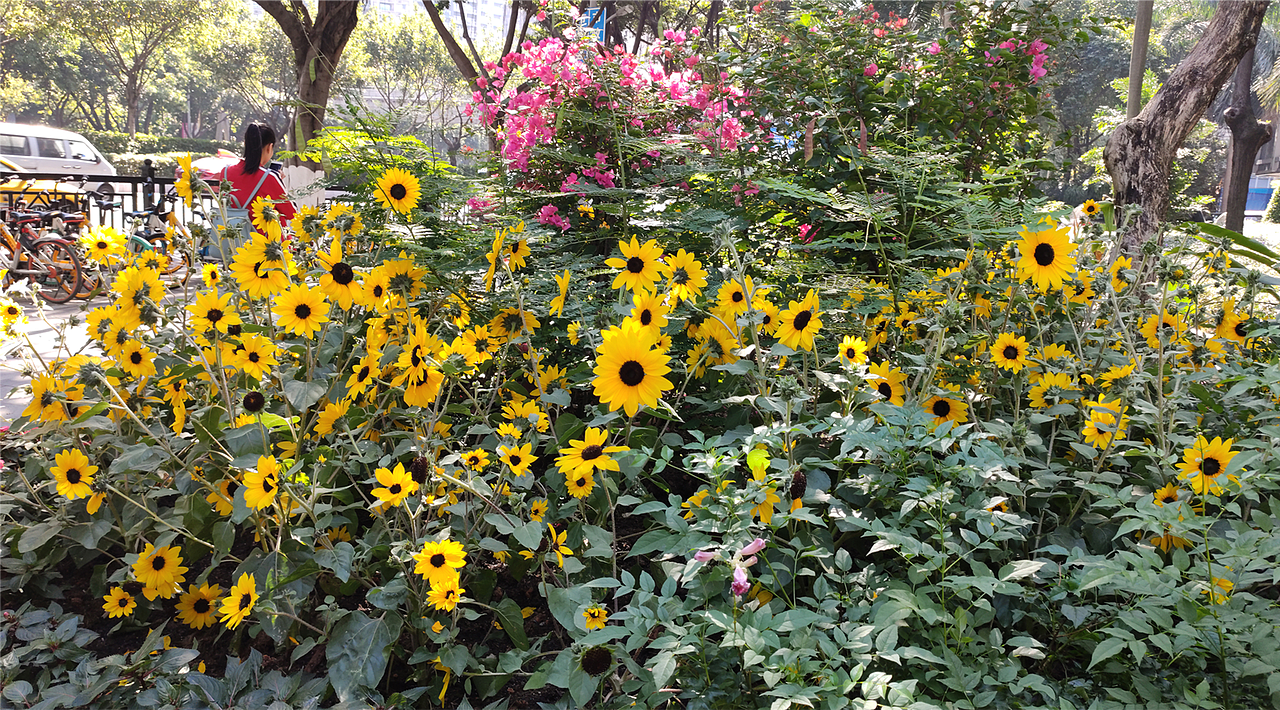 后期修图（图ZMTg2MTA0NTEy） - 修图/后期 - 站酷设计师MonsterCreative原创素材 - 站酷ZCOOL