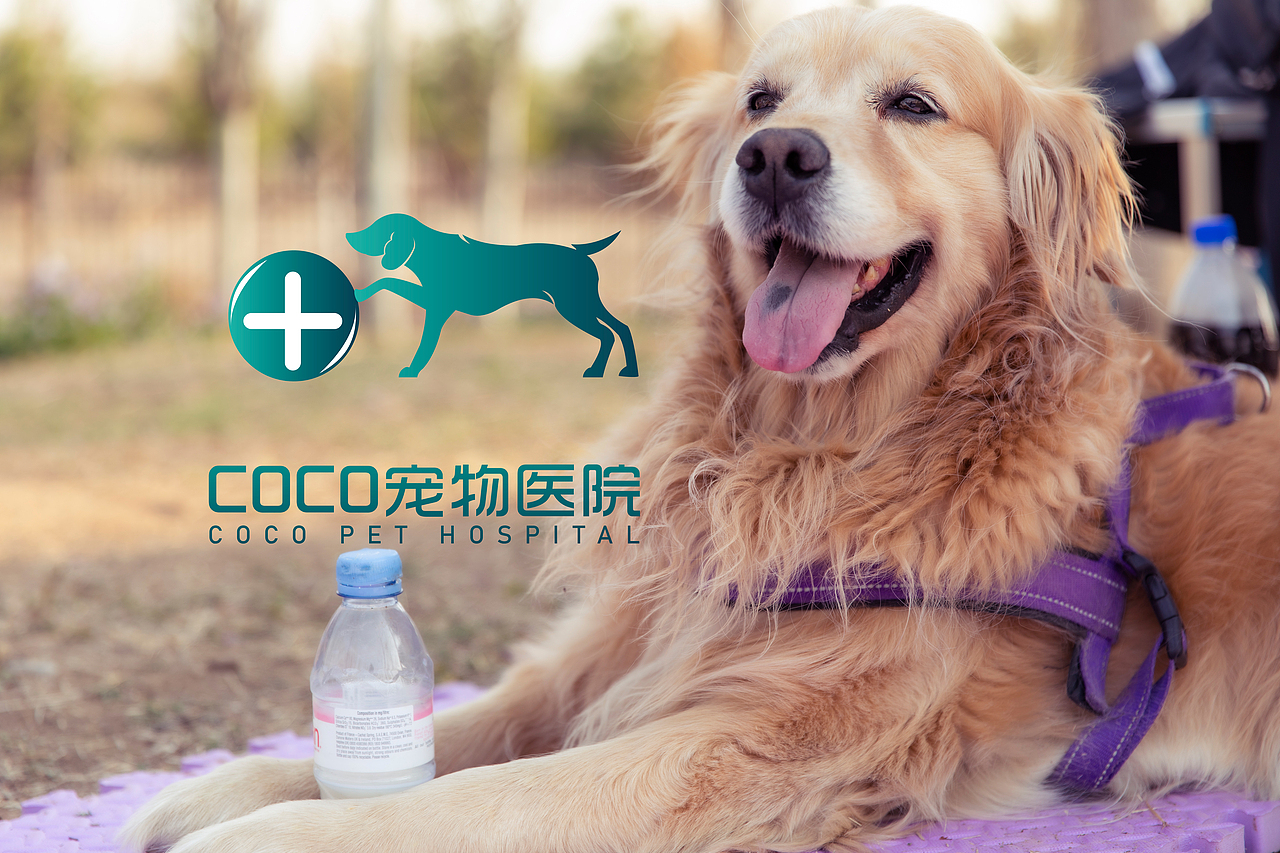 宠物logo设计猫舍犬舍诊所水印店名图标设计（图ZMzEzNDU3MjQw） - Logo - 站酷设计师森可设计原创素材 - 站酷ZCOOL