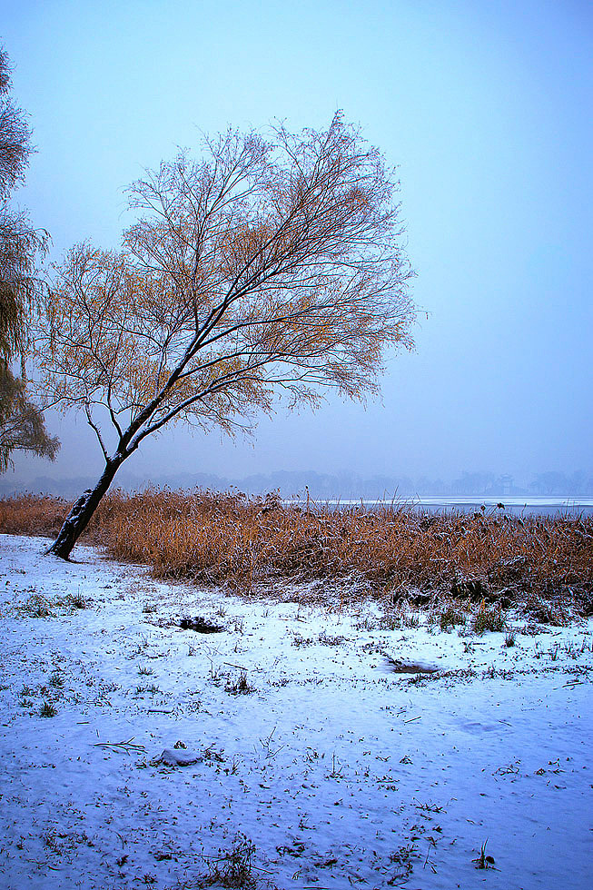 祈雪