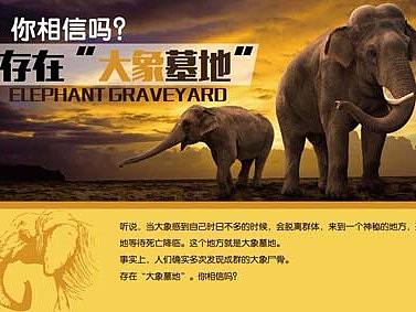 2017-2018——儿童科教主题设计