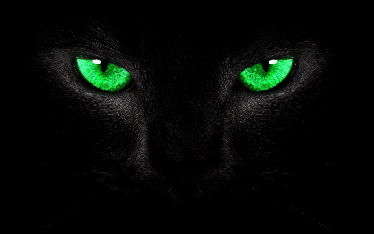 highness_movy的个人主页（封面预览） - 主页封面设置 - 站酷设计师highness_movy原创素材 - 站酷ZCOOL