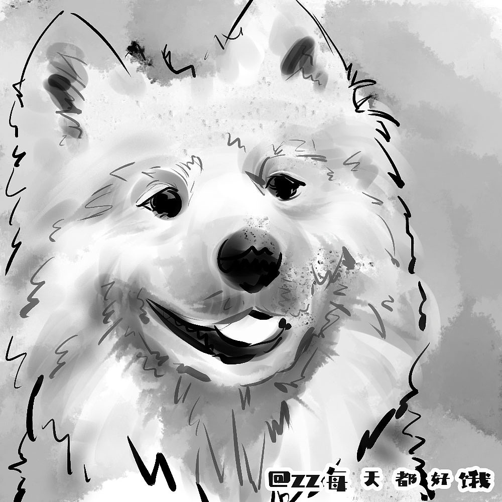 狗子萨摩耶可爱宠物手绘