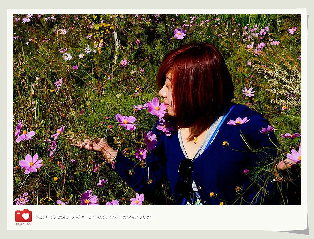 ◤岁月静好❤安然若素◢ 最接近天堂的地方，一轉身便是天涯（图ZNzE1MzAwNA==） - 风光摄影 - 站酷设计师咪噜咪噜原创素材 - 站酷ZCOOL