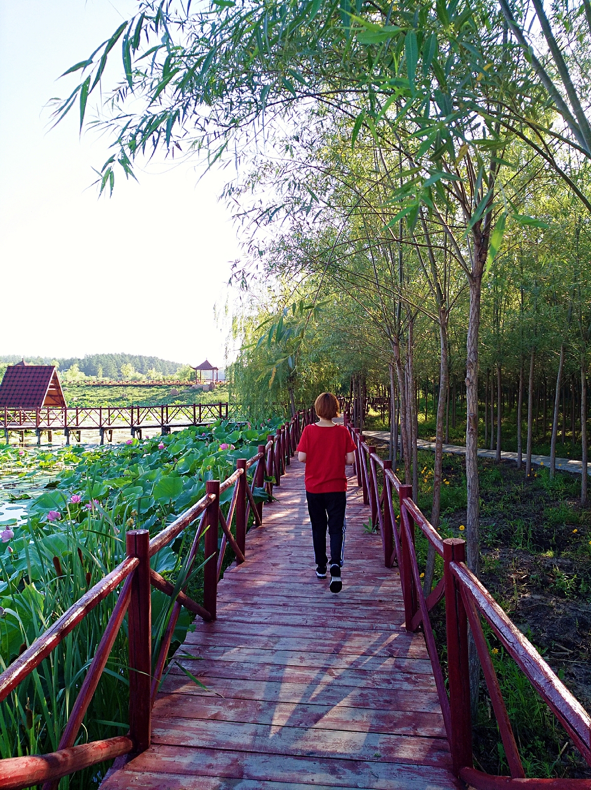 旅游（图ZODY3NDI2NjA=） - 人像摄影 - 站酷设计师湖西路十六号原创素材 - 站酷ZCOOL