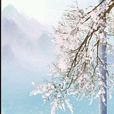 余温归零的头像