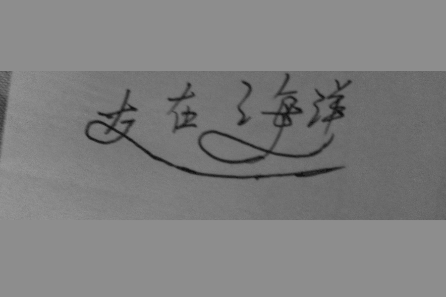 爱在海洋定制婚礼摄影会馆品牌形象设计