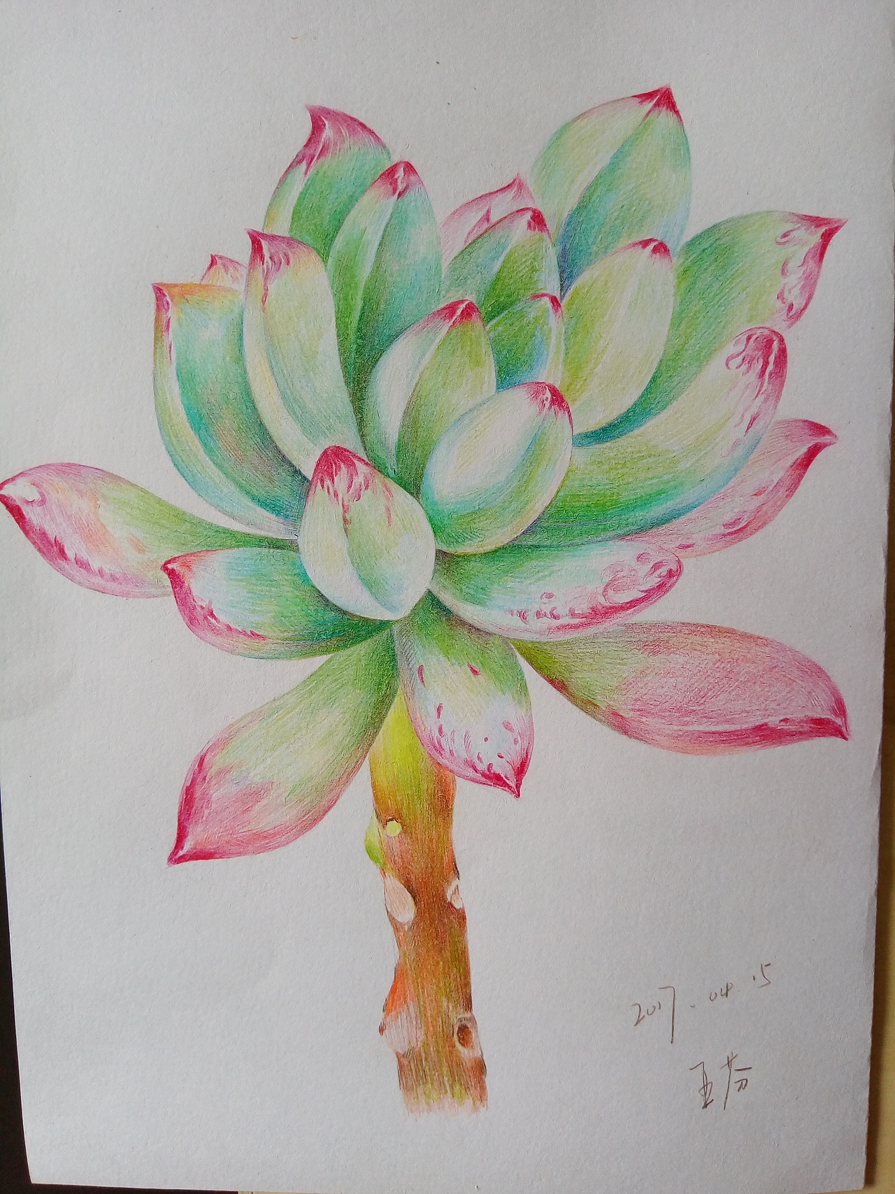 多肉加美女（图ZNzczOTI5NzY=） - 绘画 - 站酷设计师雅芬yf原创素材 - 站酷ZCOOL