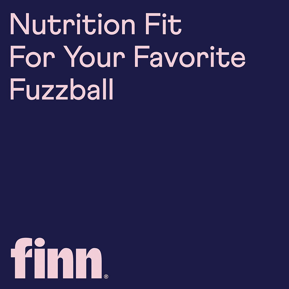 设计分享/ Finn-品牌