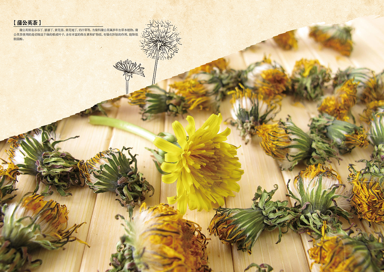 毕业设计-三江水企业宣传册