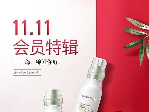 2018年（双11会员页面）