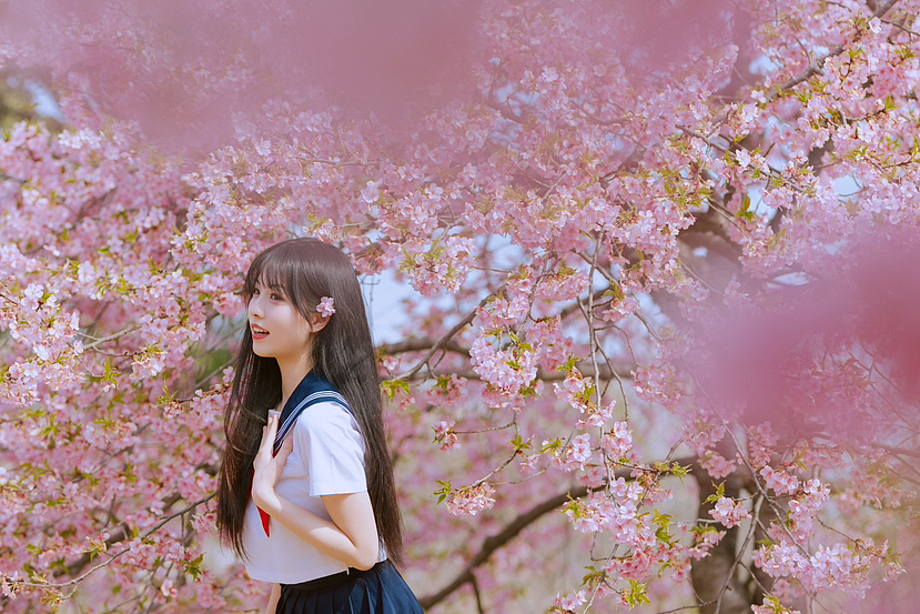 辰山樱花🌸（图ZMzM0MDQ4ODMy） - 人像摄影 - 站酷设计师宝藏摄影JY原创素材 - 站酷ZCOOL