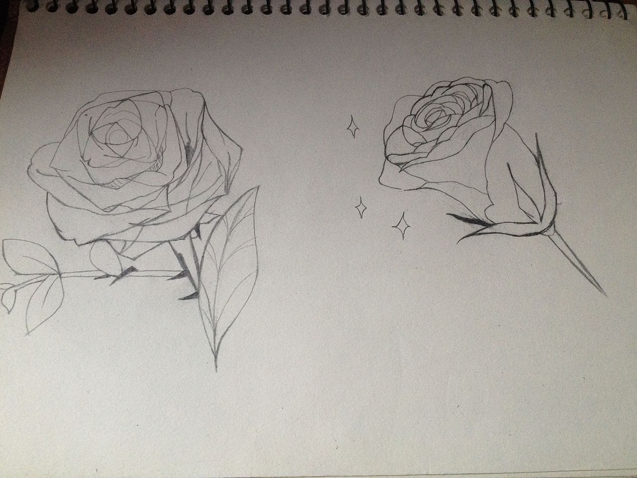 两朵花花来个小合影,咔!