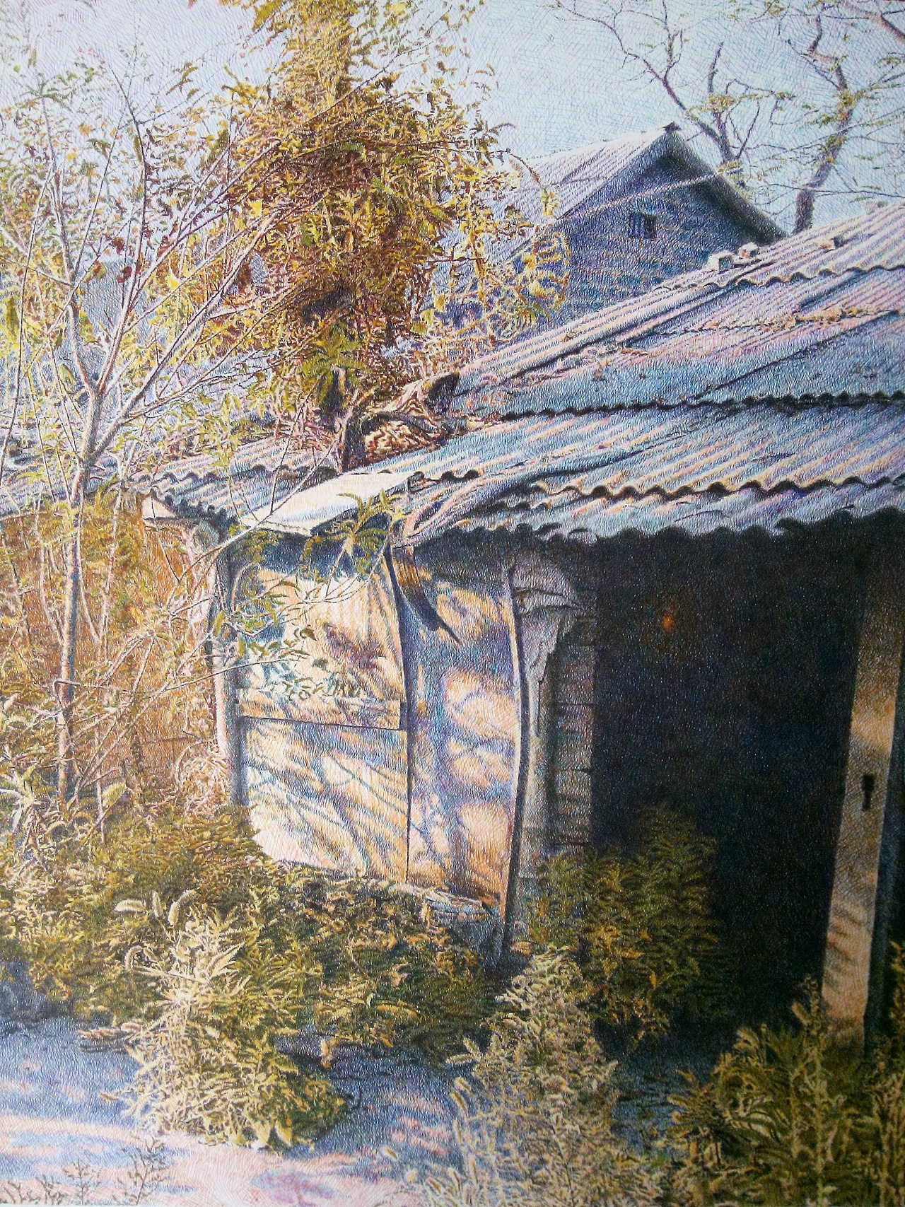 《空巢》