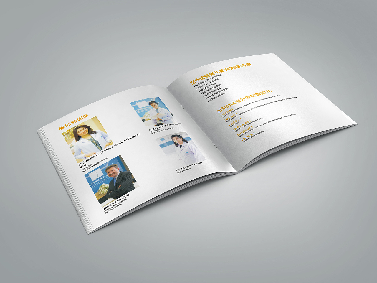 试管婴儿医疗健康服务宣传册