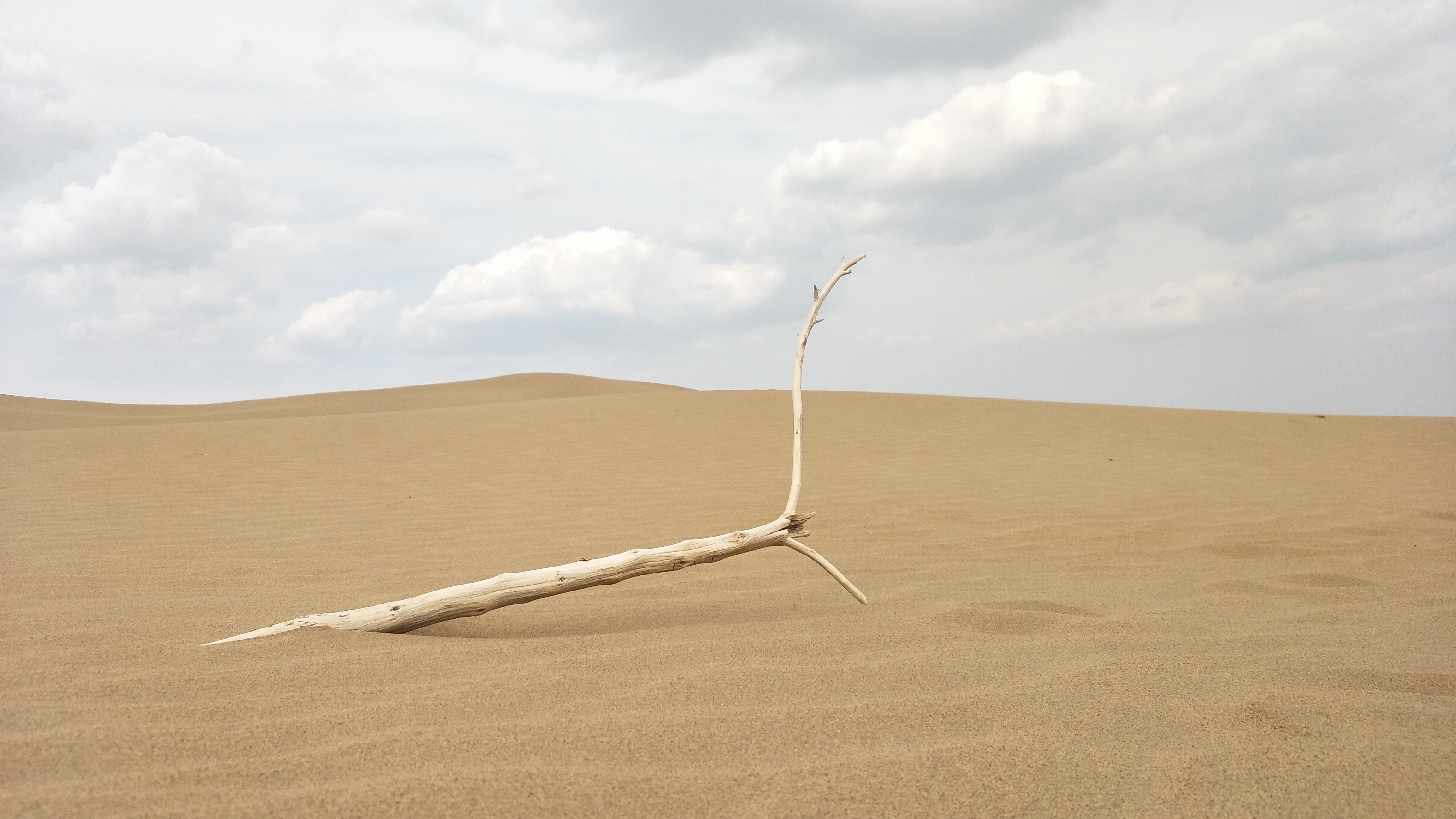 jimwsjj的個(gè)人主頁（封面預(yù)覽） - 主頁封面設(shè)置 - 站酷設(shè)計(jì)師jimwsjj原創(chuàng)素材 - 站酷ZCOOL