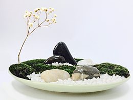 DIY盘景——微景观：一池三山、曲水流觞