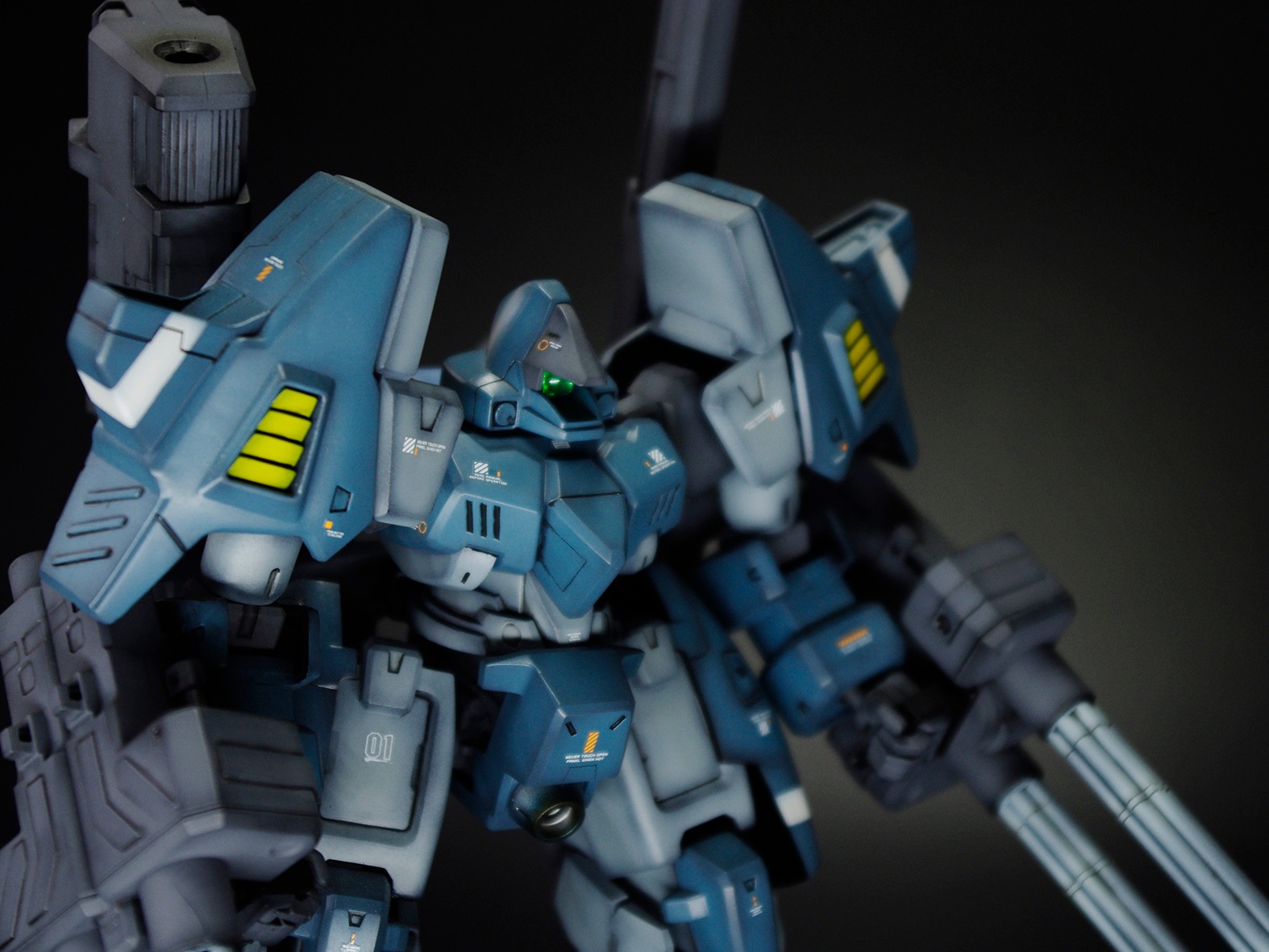 1100大毒蛇hg套件